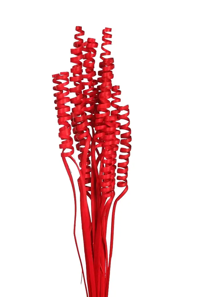 Pomo-flor-seca-cane-spring-altura