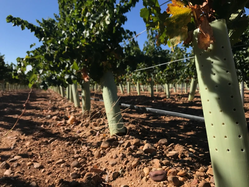 Protector-Árboles-contra-Plagas-clima-extremo