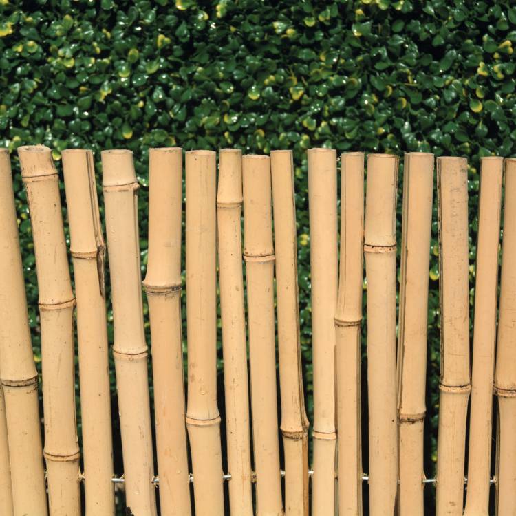 rollo-ocultacion-bambu