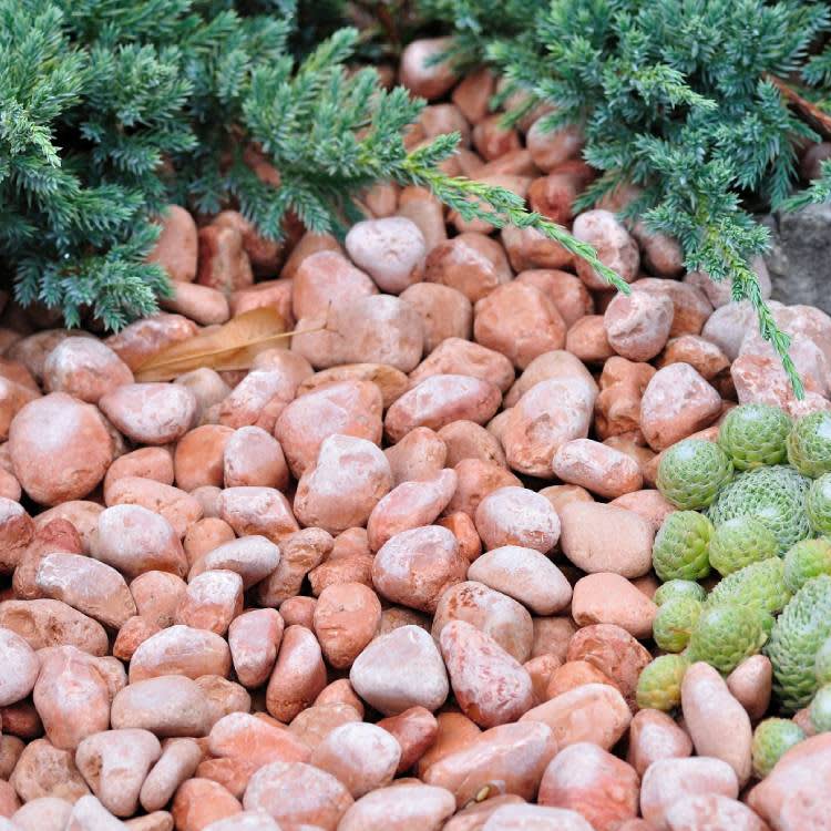 Saco-bolo-mármol-rojo