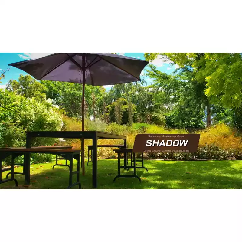 semillas-cesped-especial-sombra-shadow