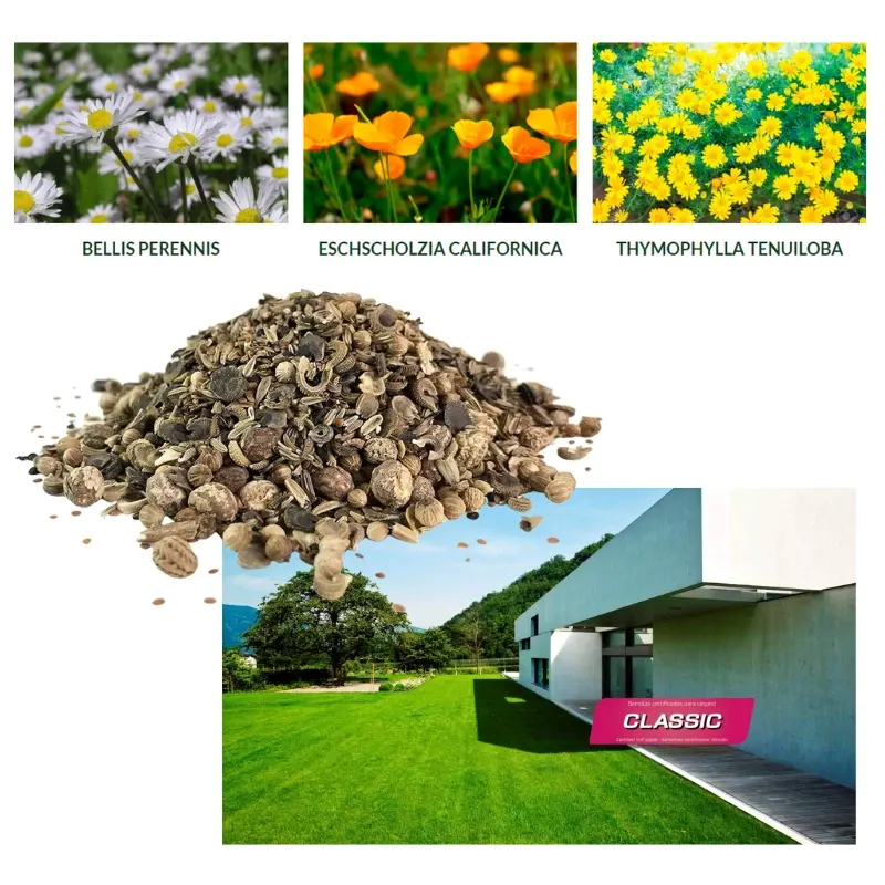 semillas-cesped-flores-classic