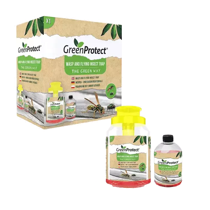 trampa-atrayente-avispas-moscas-avispa-asiatica